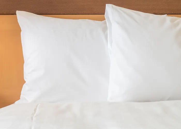 Holiday Inn Omaha Downtown - Waterpark By Ihg